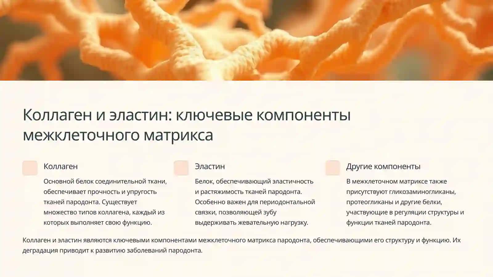 Биохимия пародонта: Структура и заболевания 3