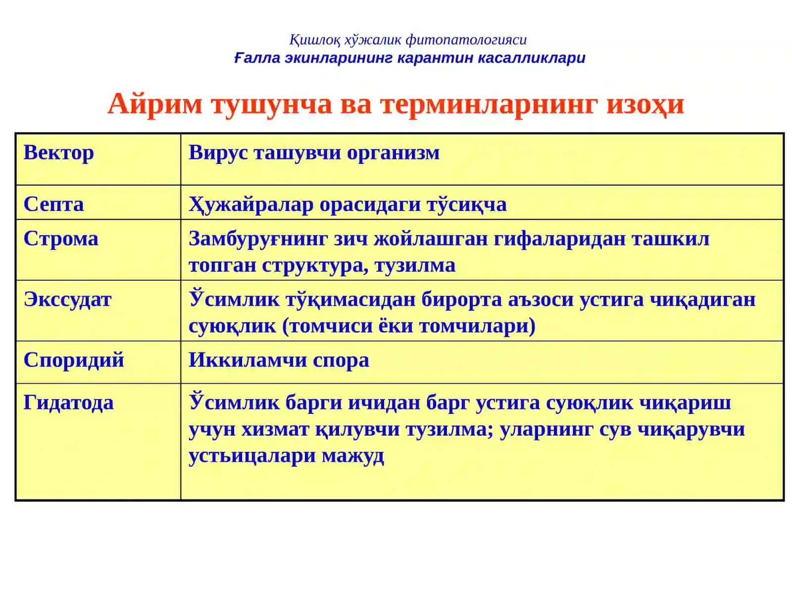 ҒАЛЛА ЭКИНЛАРИНИНГ 3