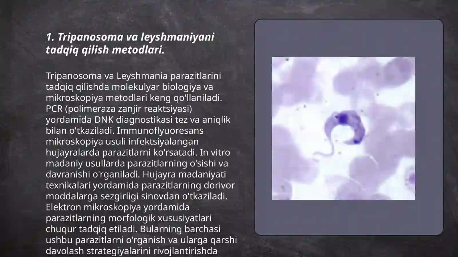Tripanosoma va leyshmaniyani tadqiq qilish metodlari 3