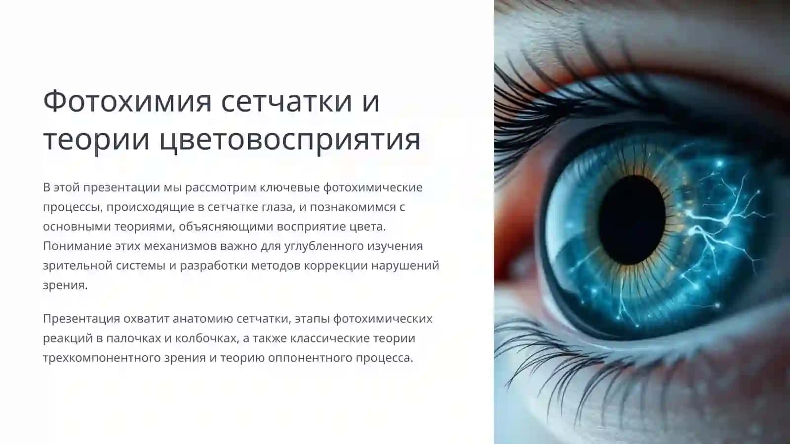 Фотохимический процесс в сетчатке. Теории восприятия цвета 3