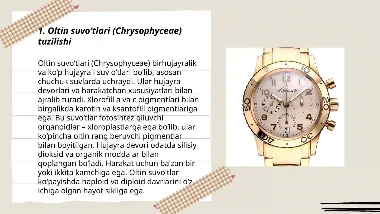 Oltin tusli suvo‘ttoifalar(Chrysophyta) bo‘limi 3