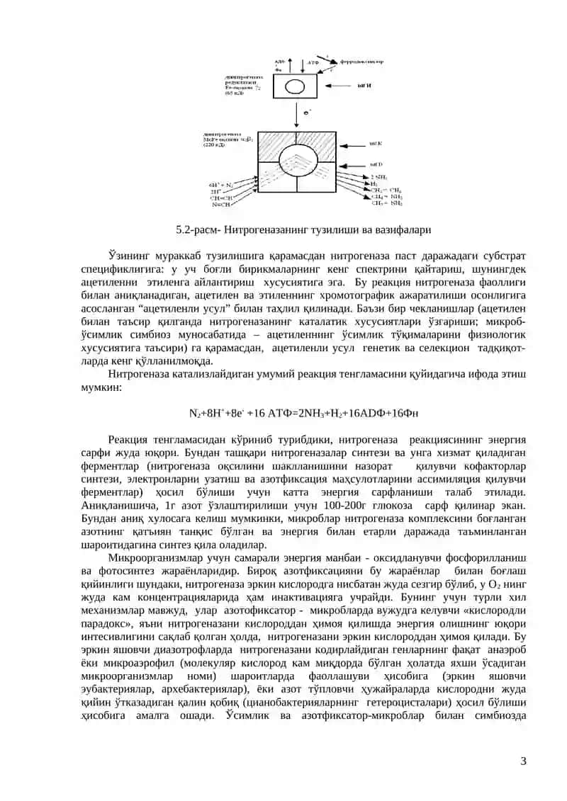 Тупроқ унумдорлигини оширишда биотехнология 3