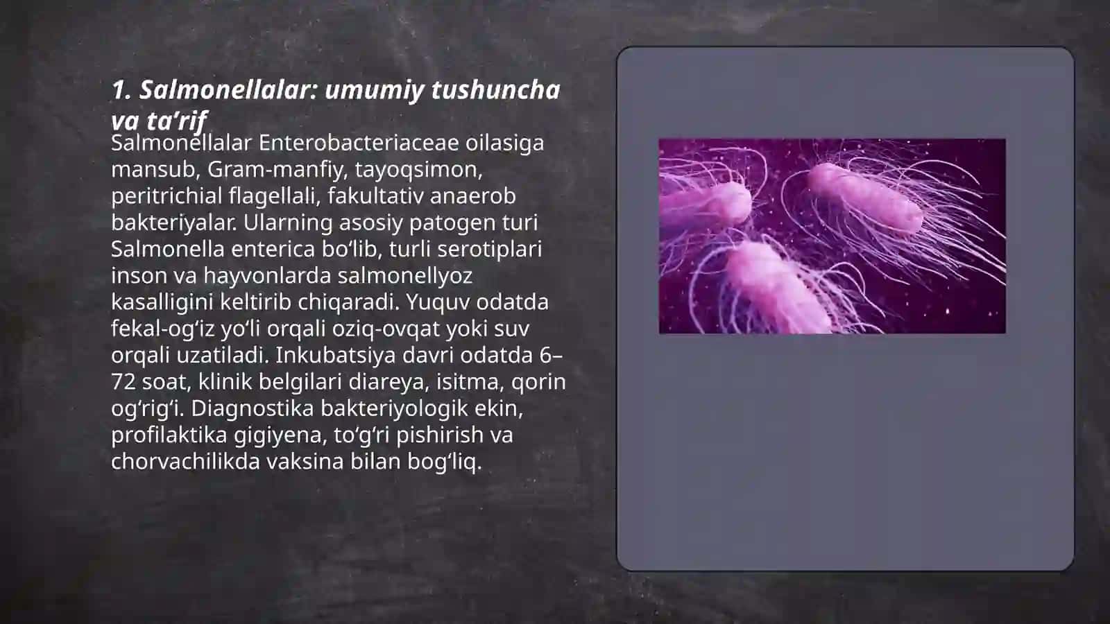 Salmonellalar 3
