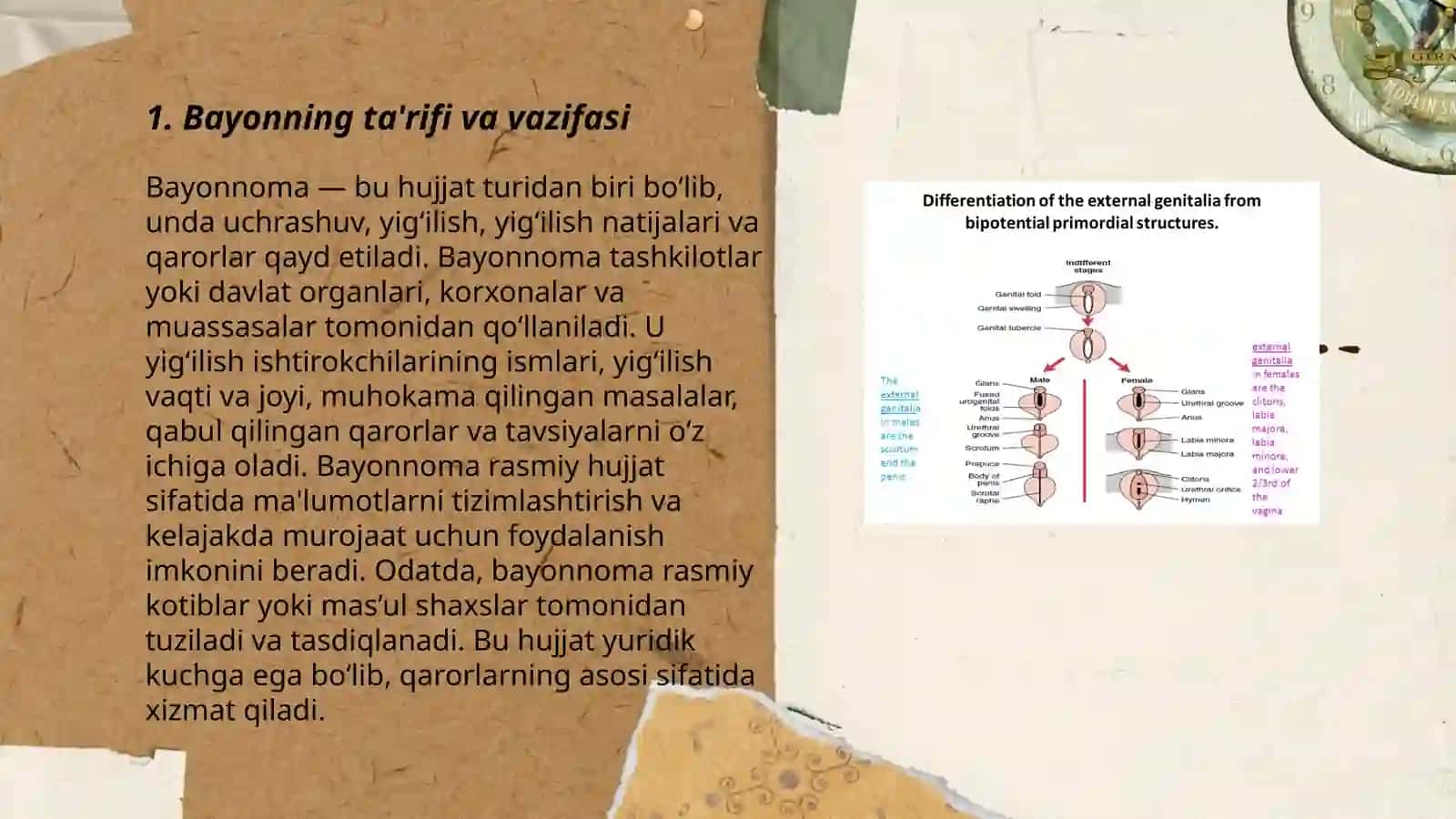 Bayon va uning turlari: ta'limiy va nazorat 3