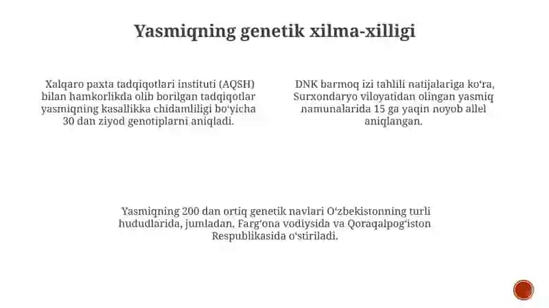Yasmiq va barcha ahamiyati biologiyasi yetishtirish texnologiyasi 3