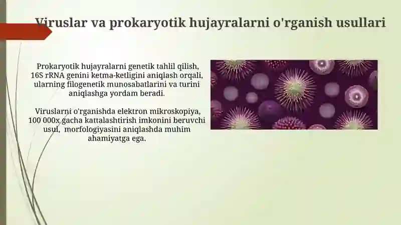 Viruslar va Prokaryotik Hujayralar O'rganish Usullari 3