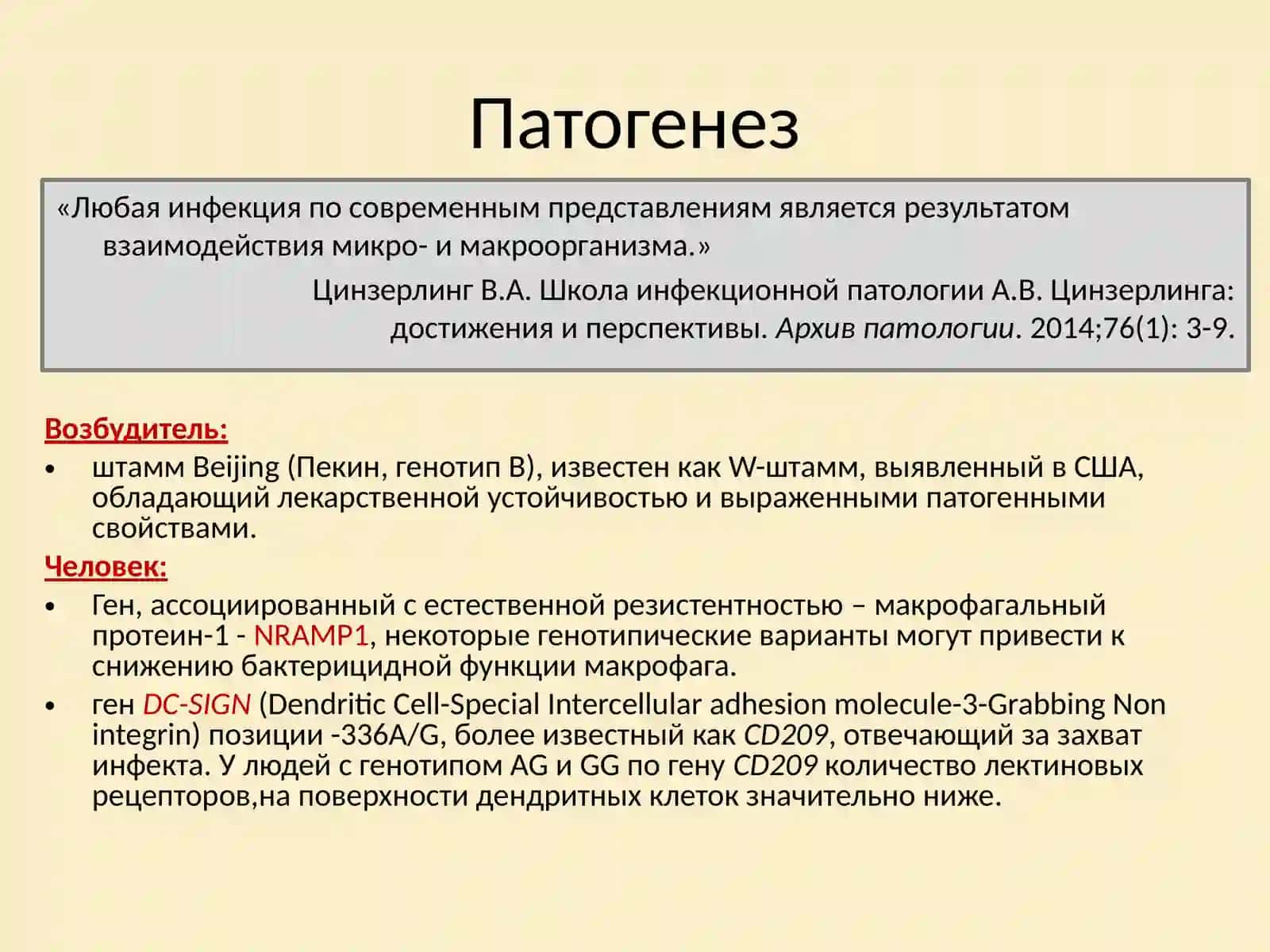 Функциональная морфология лёгких, морфологические проявления туберкулёза лёгких в современных условиях. 3