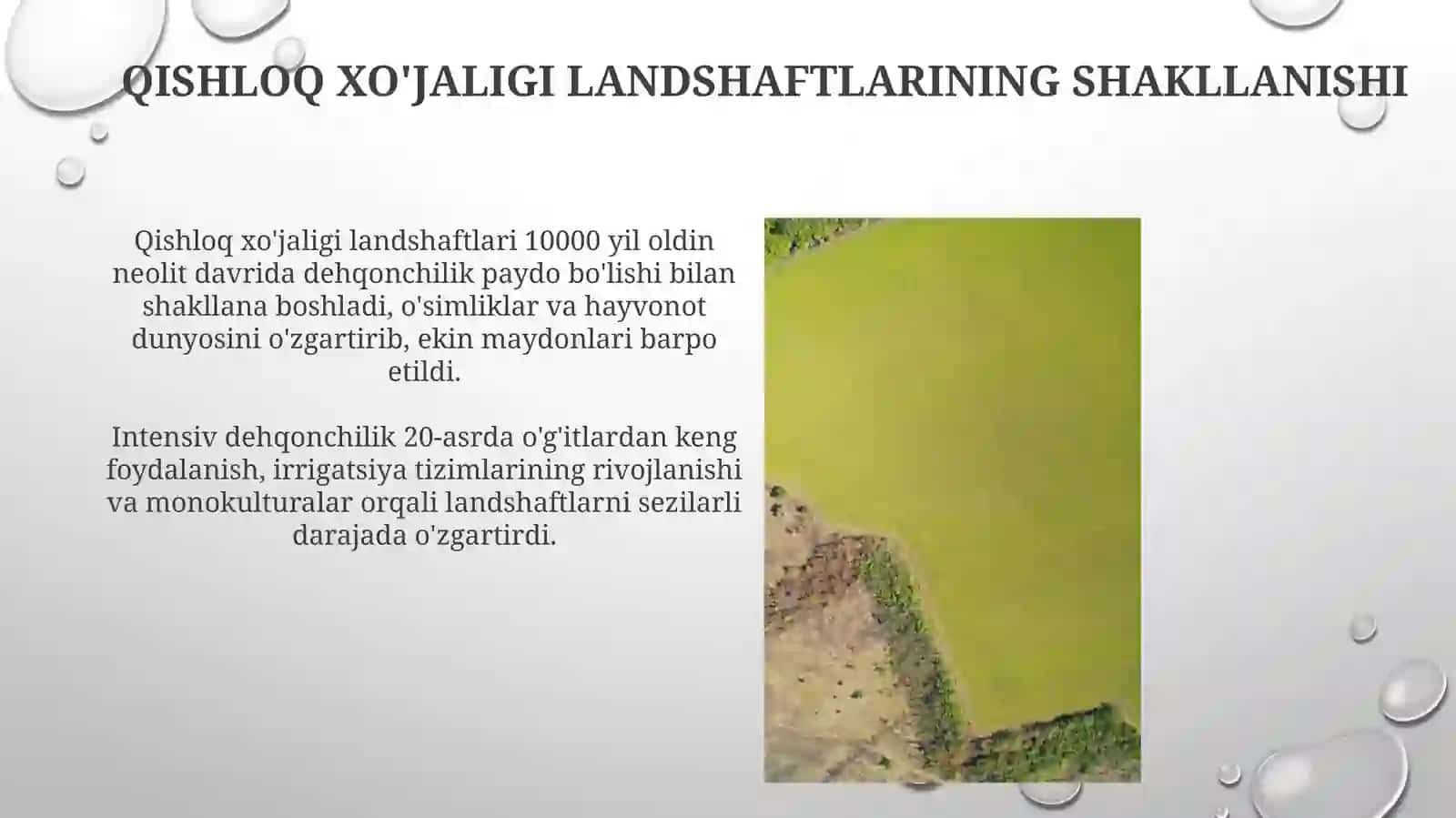Qishloq xo'jaligi landshaftlari: shakllanishi va ekologik oqibatlari 3
