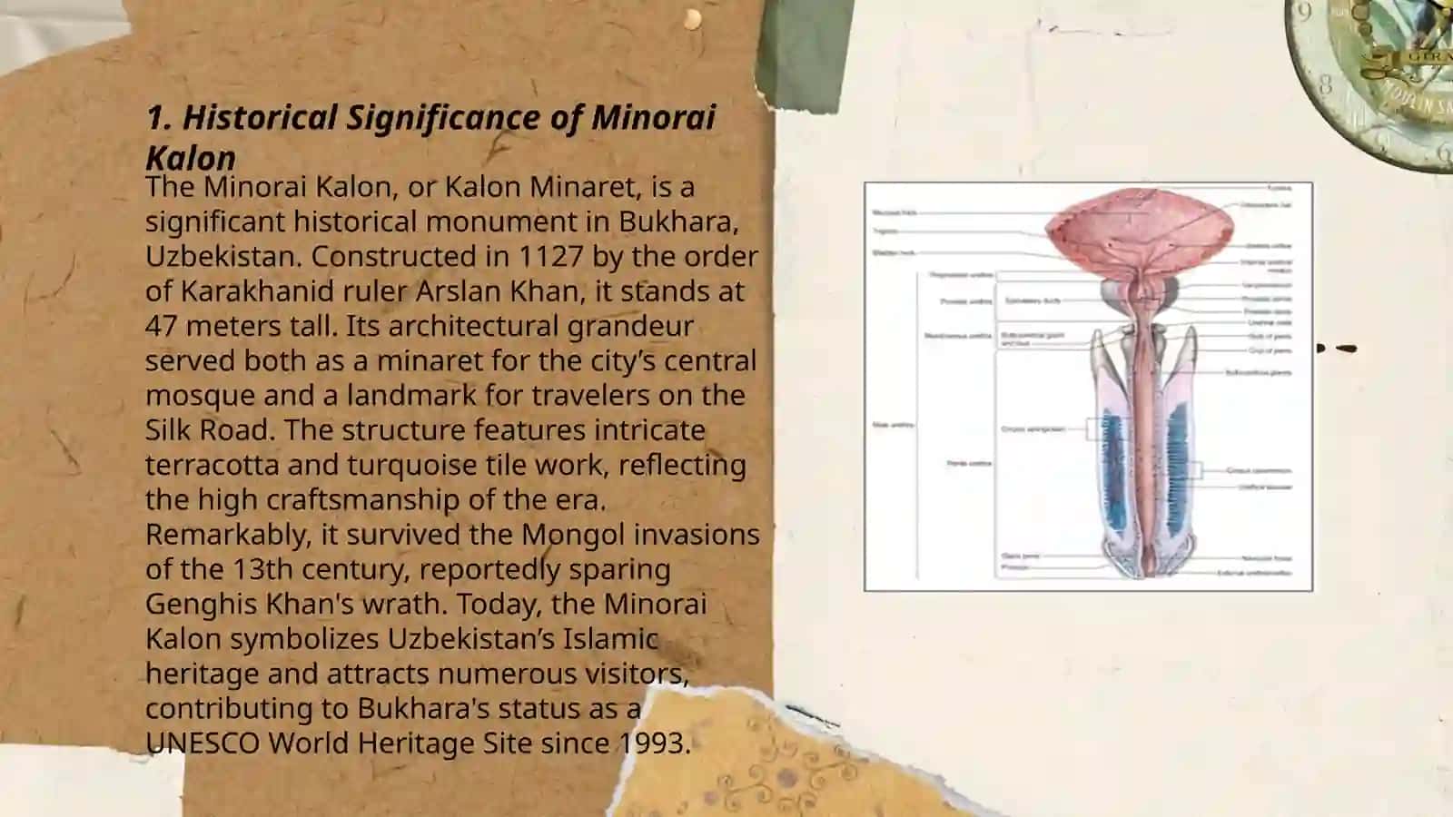 Minorai kalon 3