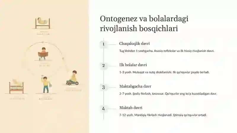 Ontogenez va bolalardagi rivojlanish bosqichlari 3