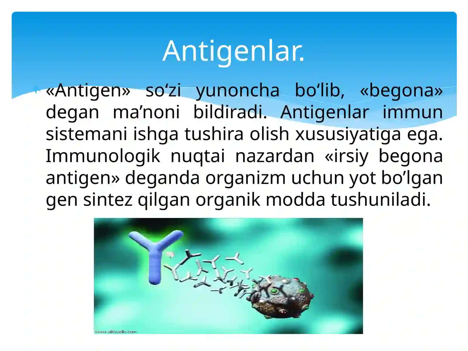 Antigen va antitela 3
