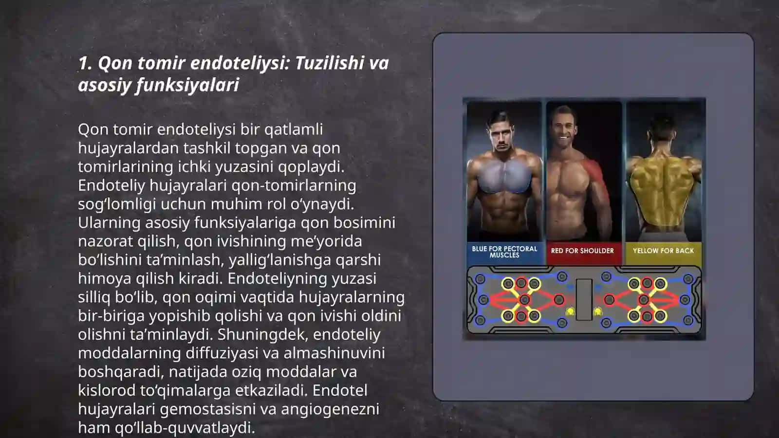 Qon tomir endoteliysining funksiyalari 3