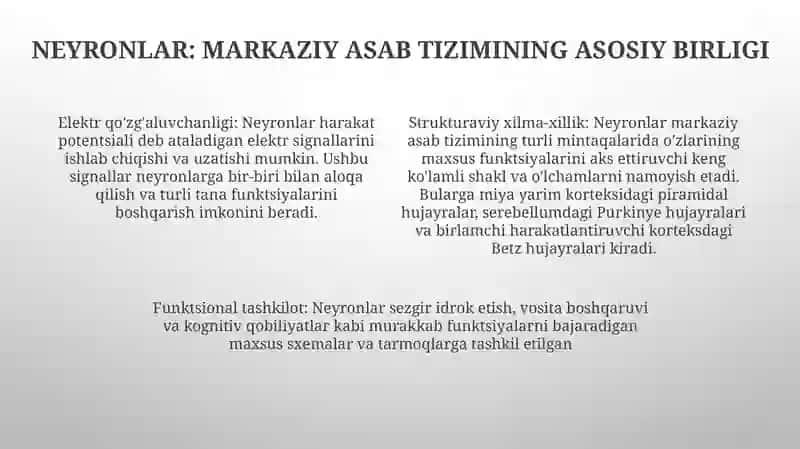 Markaziy Nerv Sistemasi Fiziologiyasi 3