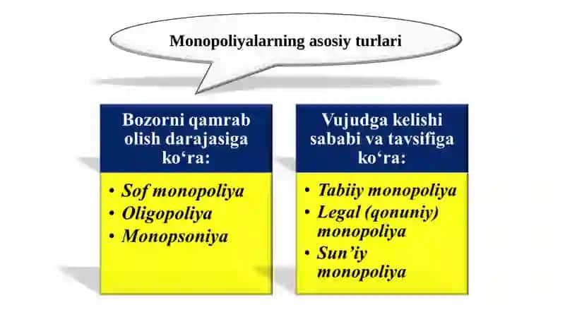 Monopoliyalarning iqtisodiy asosi va ularning turlari 3