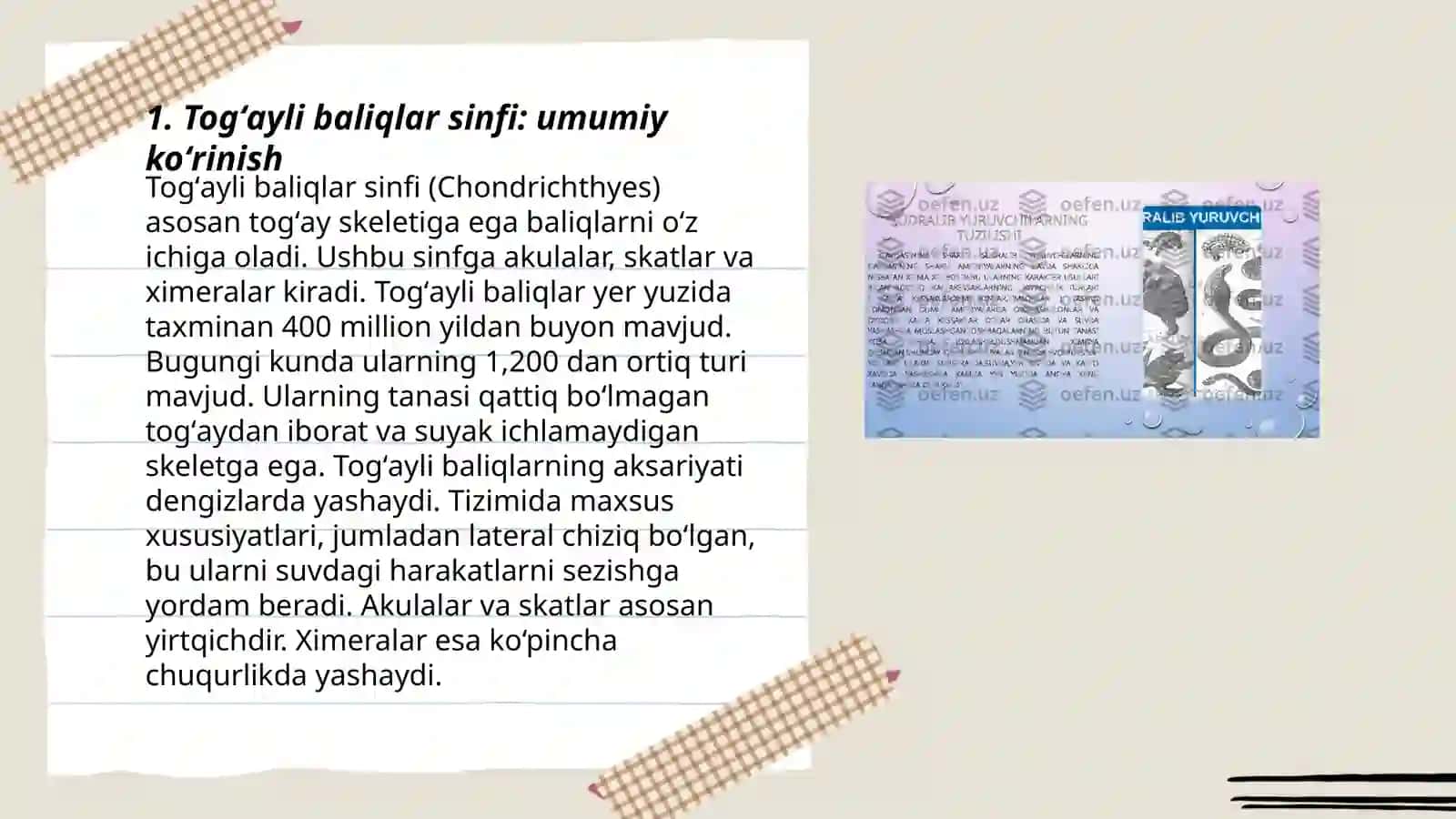 Togʻayli baliqlar sinfi 3