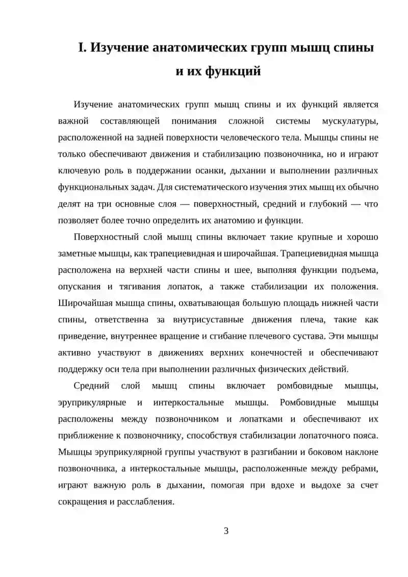 Мышцы спины 3