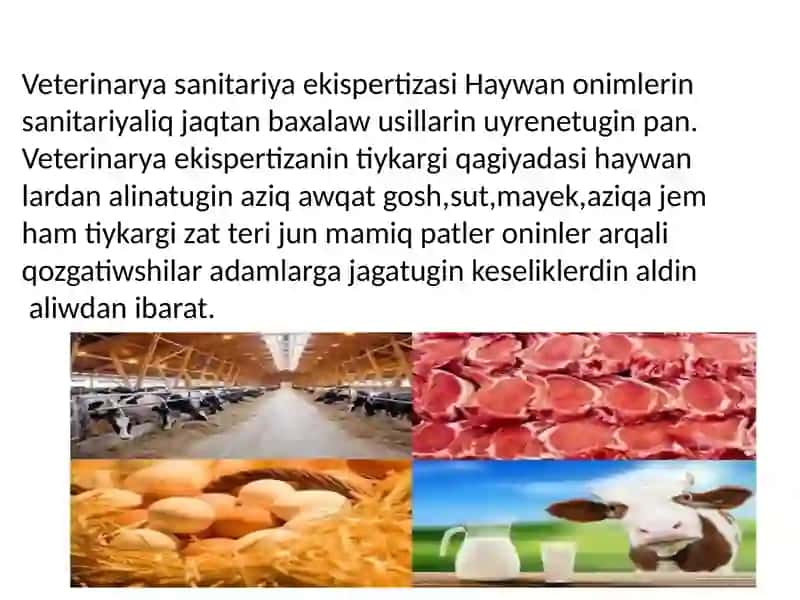 Radiobiologik Veterinarya haqqinda tusinik 3