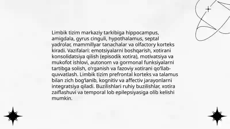 Limbik tizim faoliyati 3