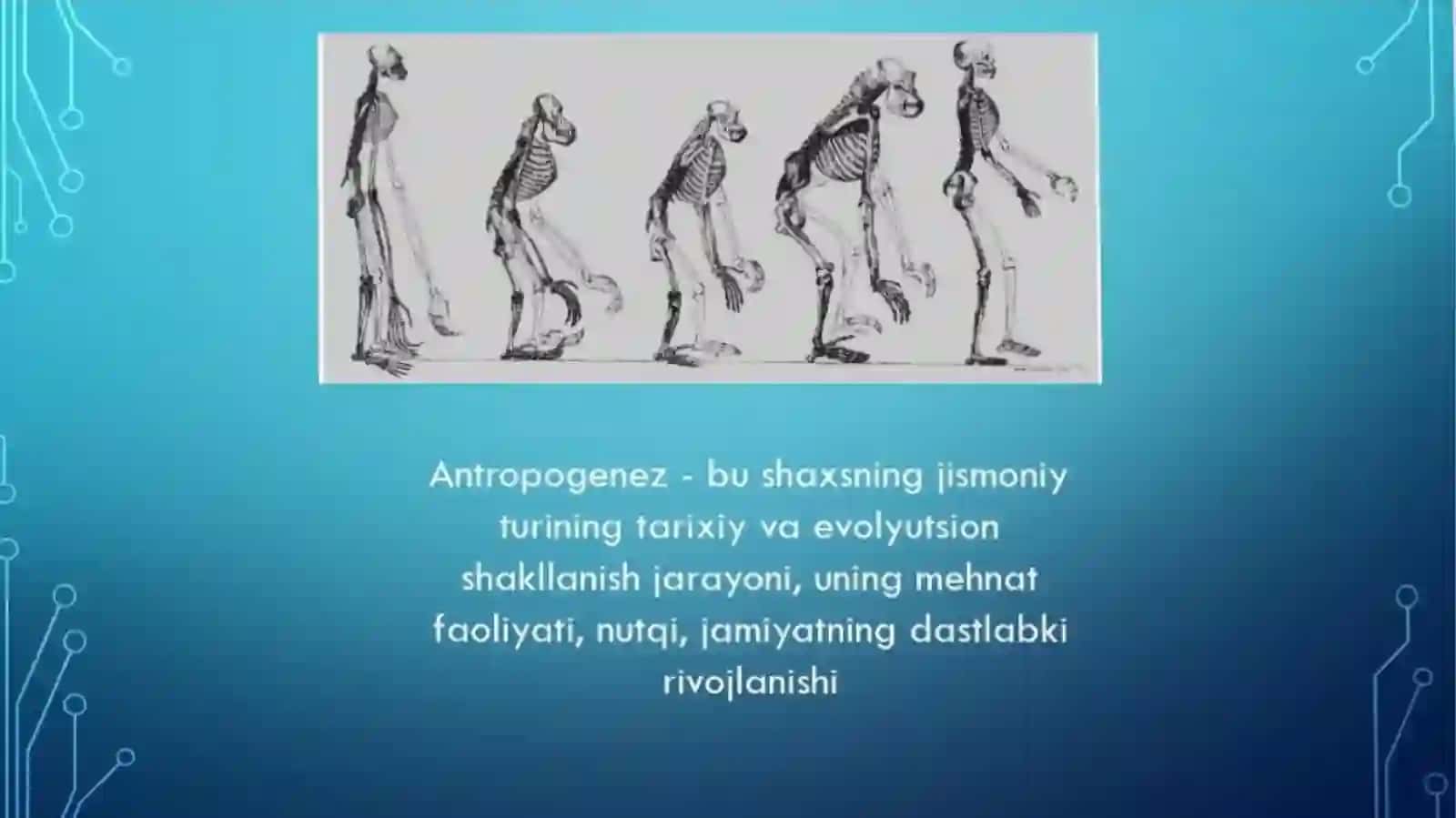 Apwayi hayvanlar 3