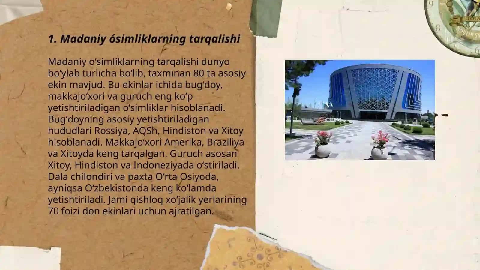 Madaniy ósimliklarning kelib chiqish markazlari 3