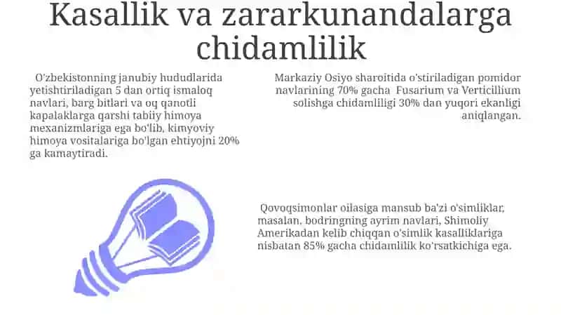 Sabzavot ekinlarining guruhlanishi 3