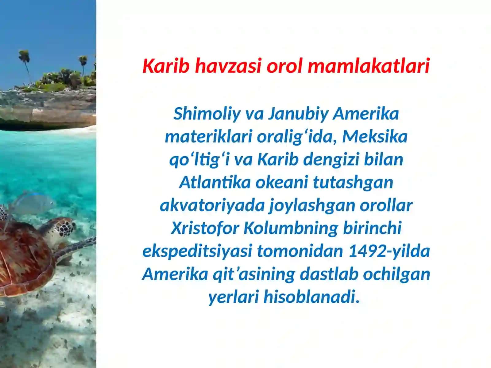 Karib havzasi orol mamlakatlari 3