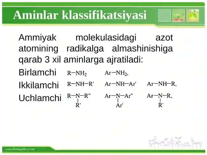 Аzоtli оrgаnik birikmаlаr. Аminlаr 3