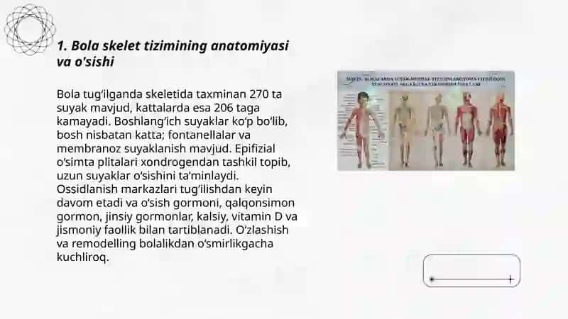 Bola organizmining anatomo fiziologik xususiyatlari 3
