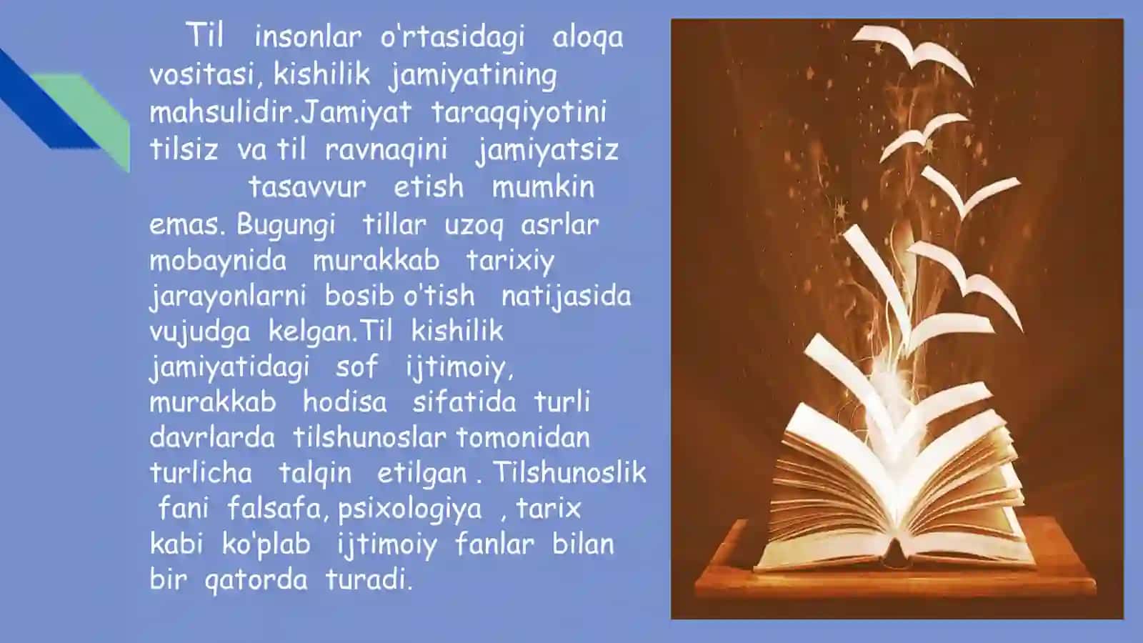 Til sathlari  va sathlarga ajratish tamoyillari 3