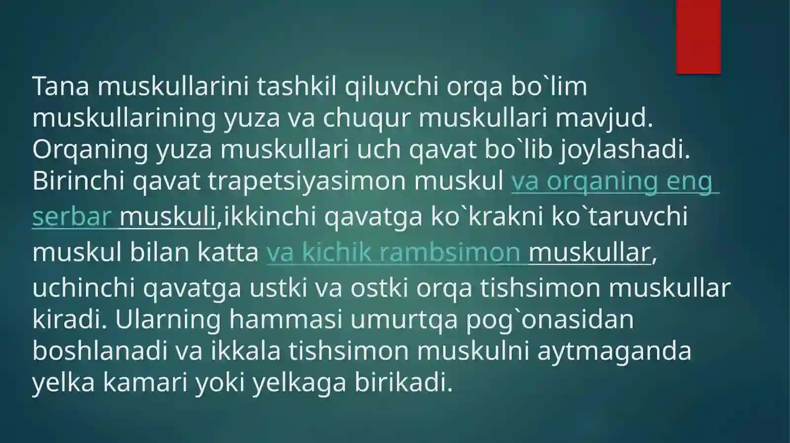 GAVDA MUSKULLARI KO;KRAK VAORQA 3