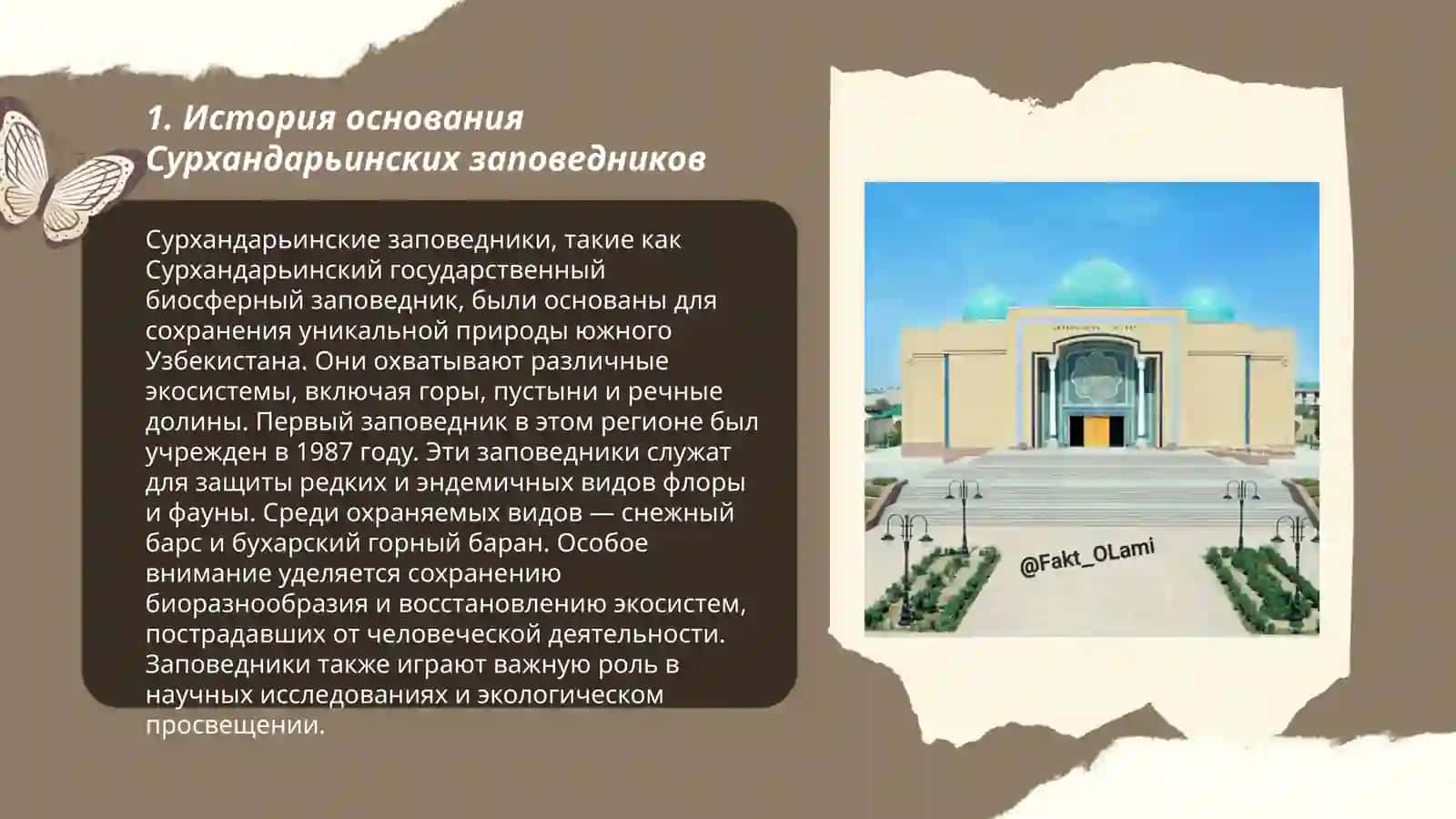 Сурхандарьинские заповедники 3