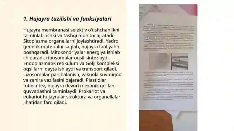 Sevinch 3
