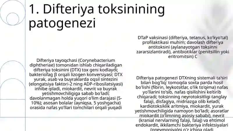Difteriya kasalligining kelib chiqish sabablari va asoratlari 3