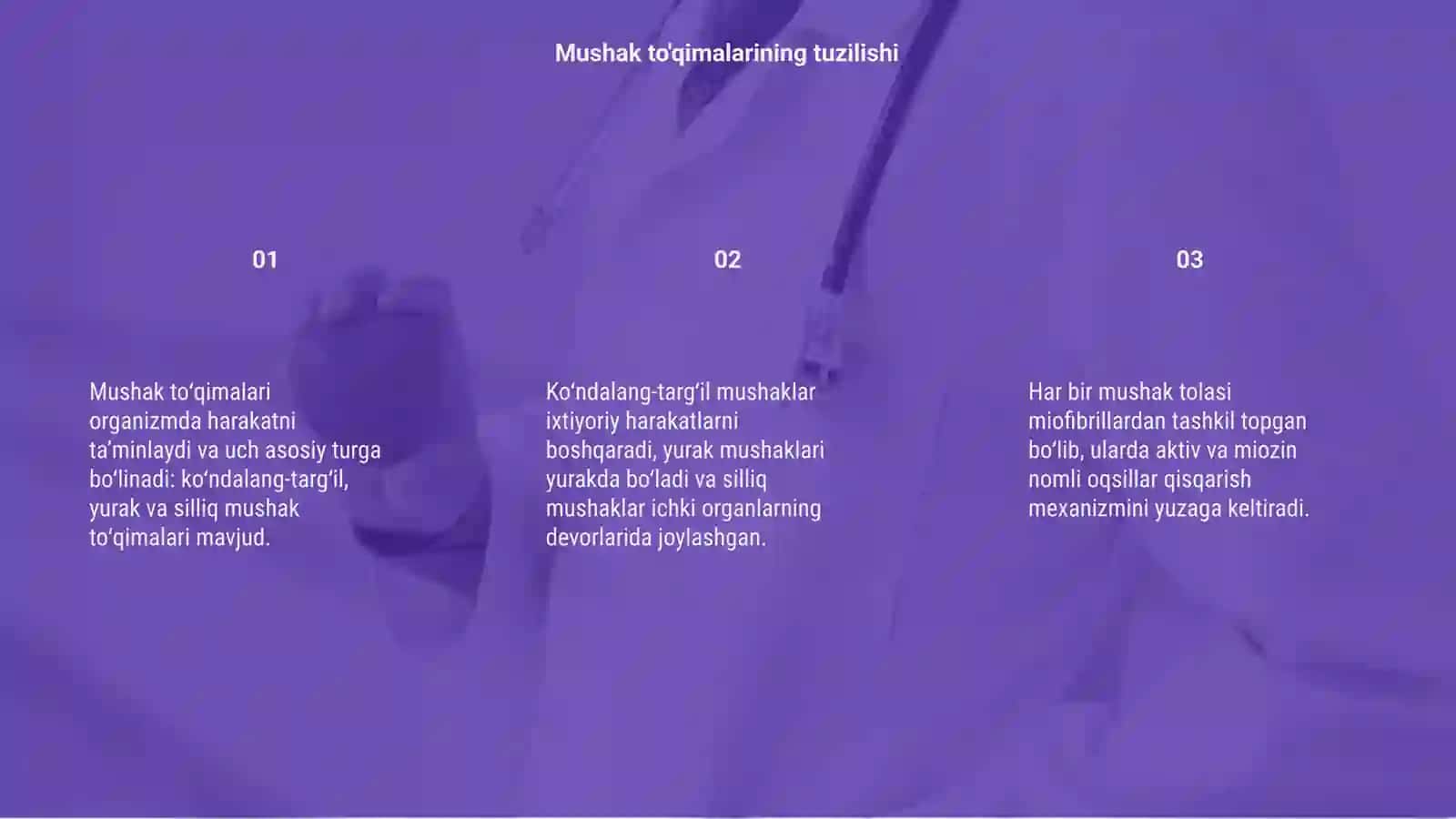 Mushaklar qisqarish mexanizmining morfologik asoslari 3