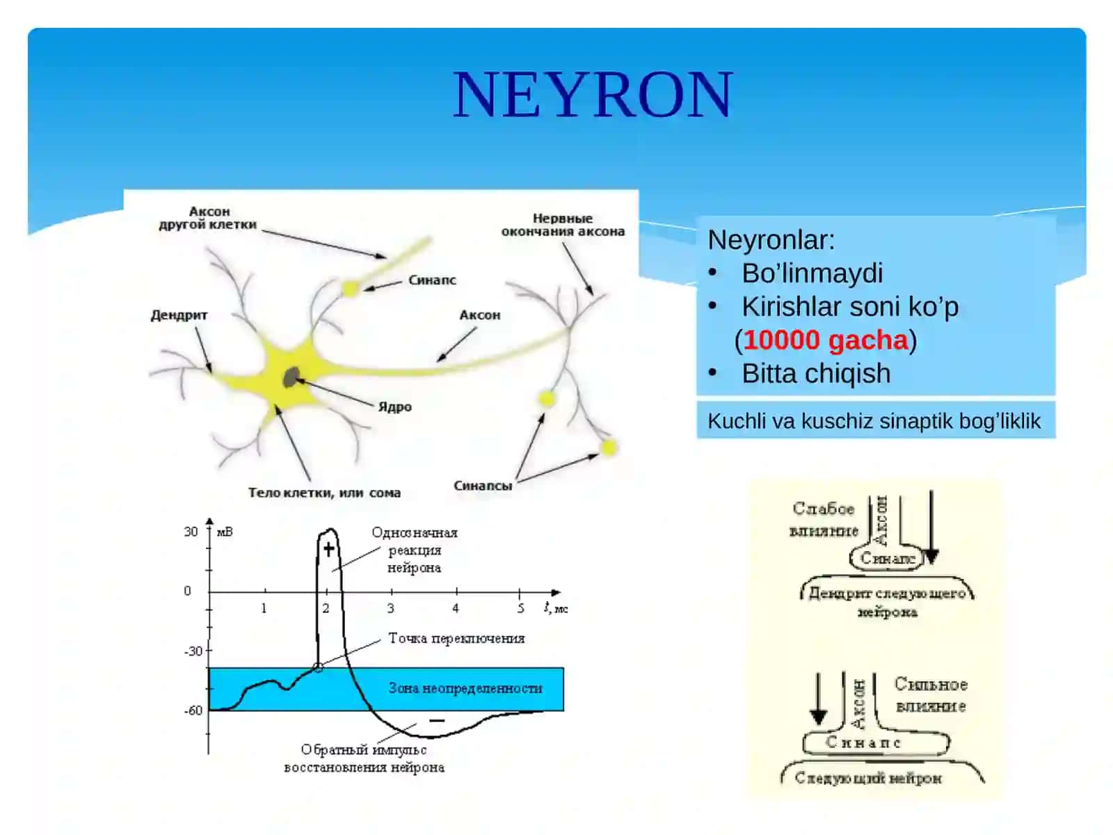SUN’IY INTELLEKT VA NEYRON TO‘RLI TEXNOLOGIYALAR 3