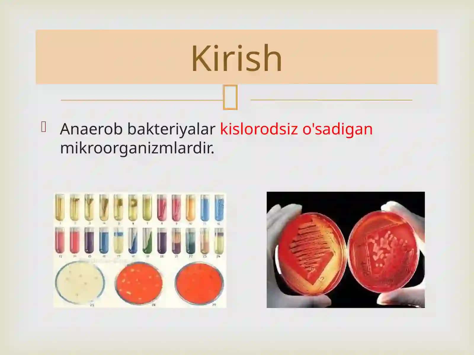 Anaerob mikroorganizmlarni o'stirish uchun qollaniladigan ozuqamuhitlari 3