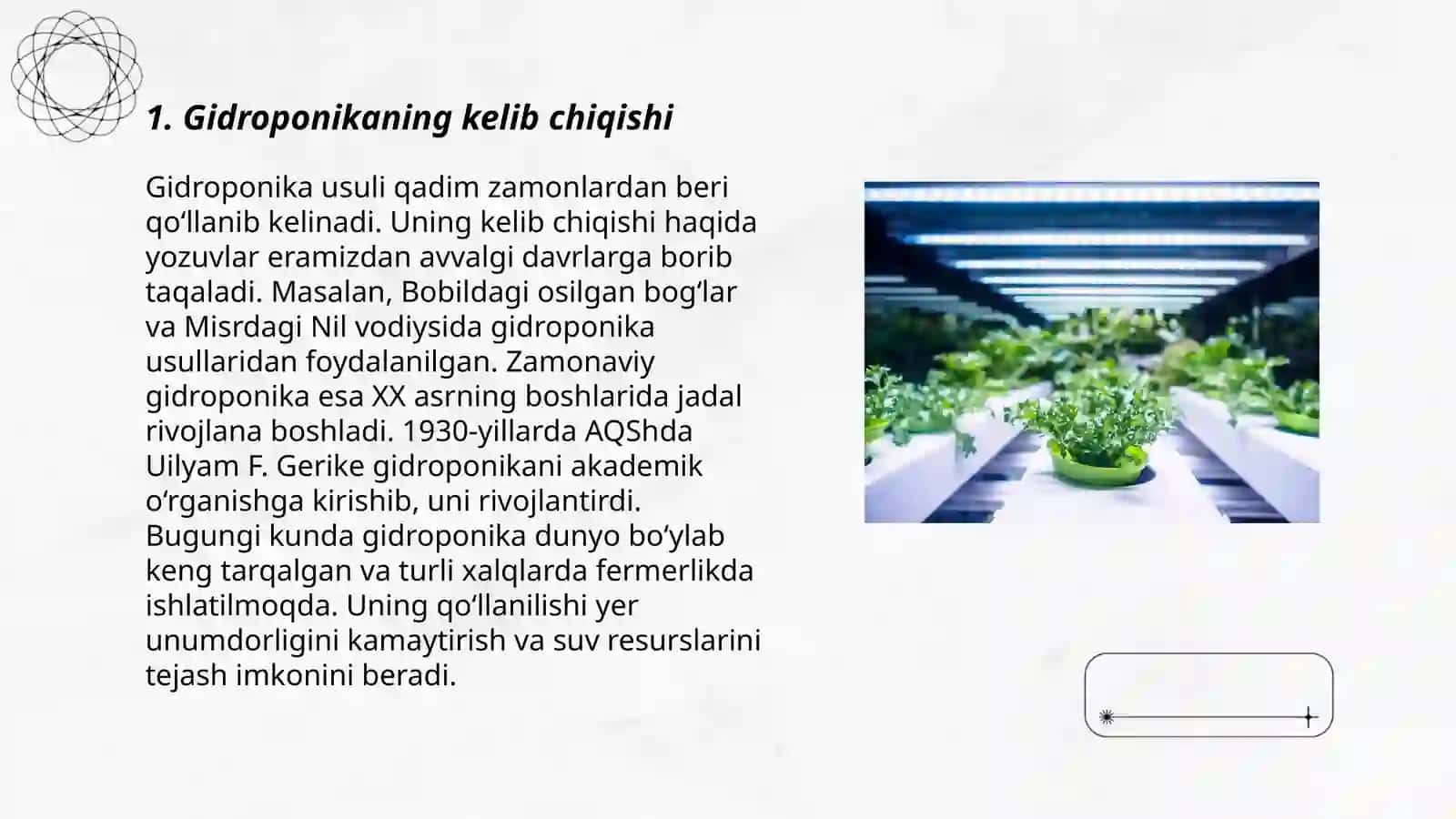 Qishloq xo‘jaligi ekinlarini yetishtirishda gidroponika usuli 3