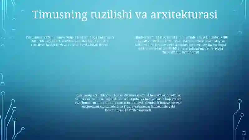 Timusdagi T-Limfositlarning Yetilish Jarayoni 3