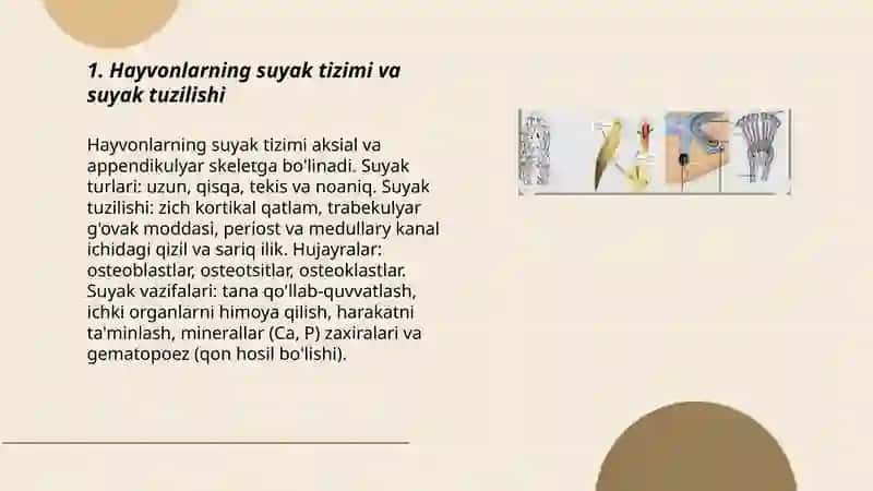 Hayvonlar anatomiyasi,fiziologiyasi 3