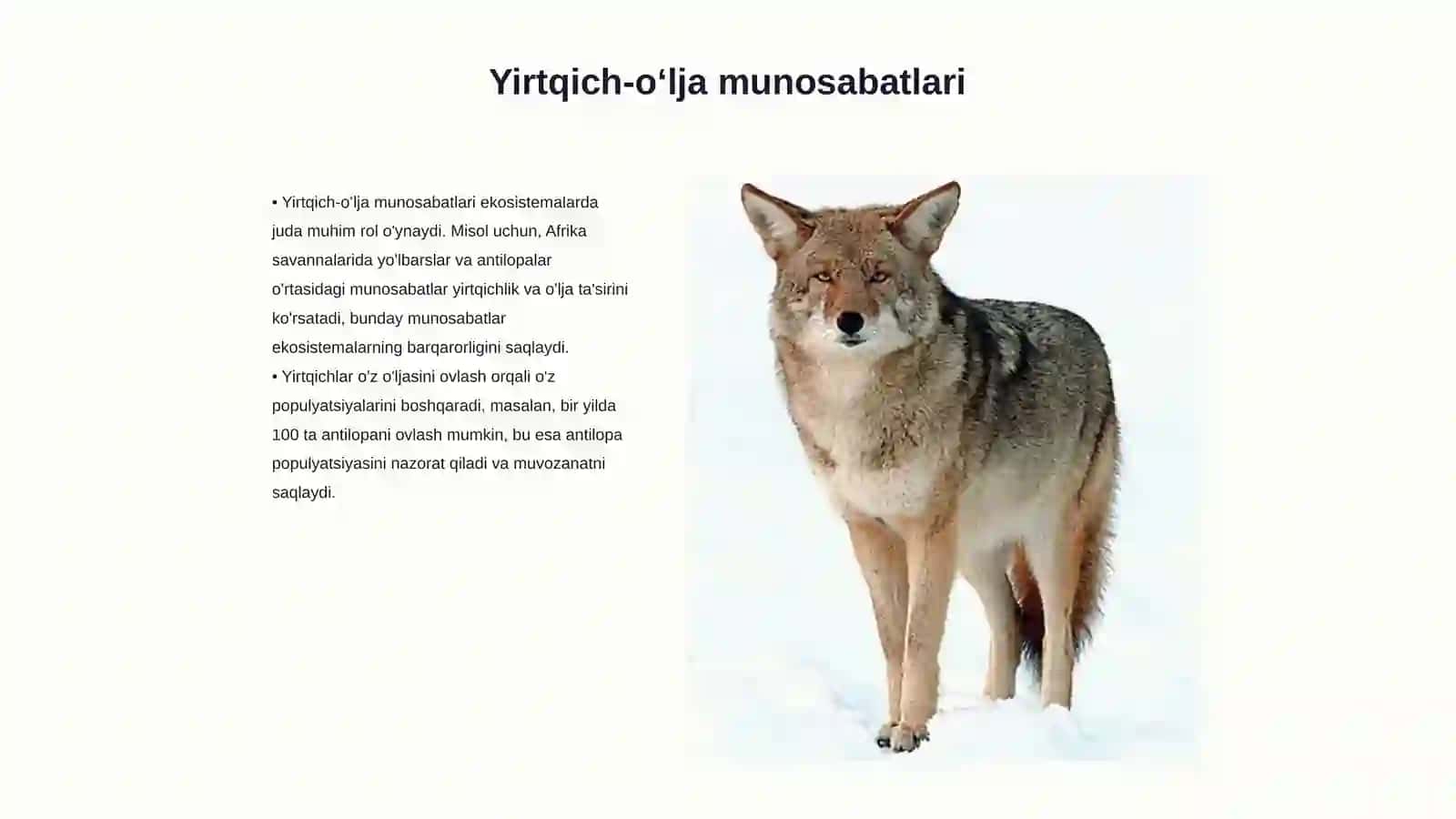 Yirtqich-oʻlja munosabatlari 3