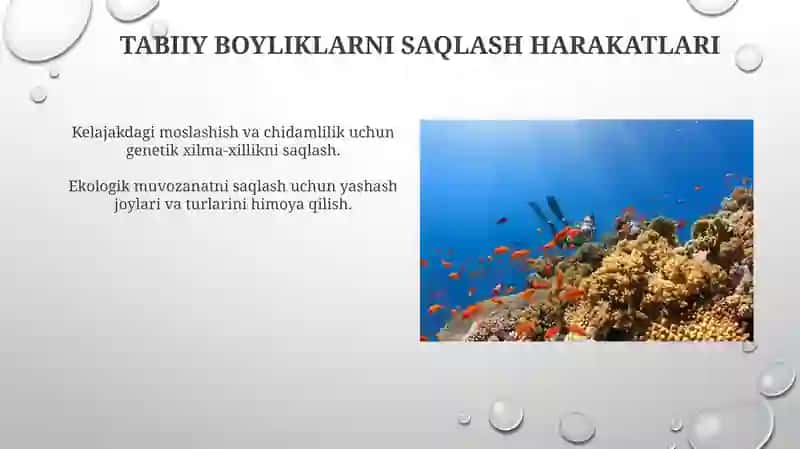 Hayvonlar va o'simliklar hilma-xilligi 3