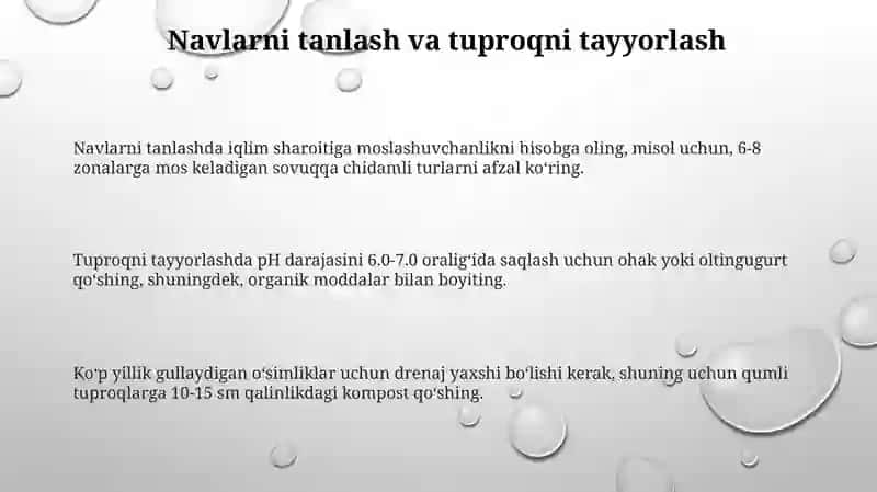 Ko‘p yillik gulli o‘simliklarni yetishtirish texnologiyasi 3