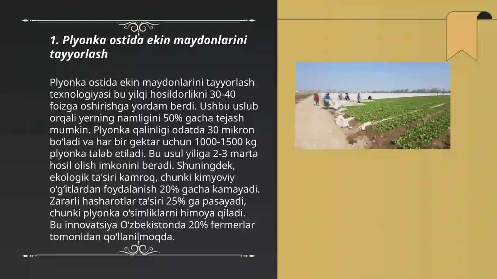 Plyonka ostida eng erta sabzavot va kartoshka yetishtirish 3