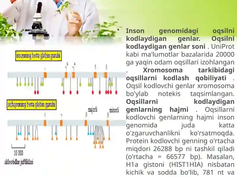 Biologiyata’limyo’nalishitalabasininggenetikavagenomikafanidantayyorlagantaqdimot 3
