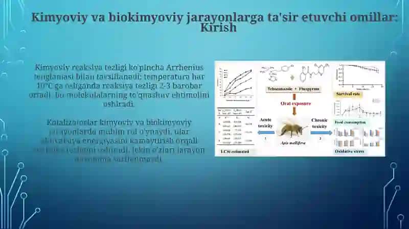 Kimyoviy va biokimyoviy jarayonlarga ta'sir etuvchi omillar 3