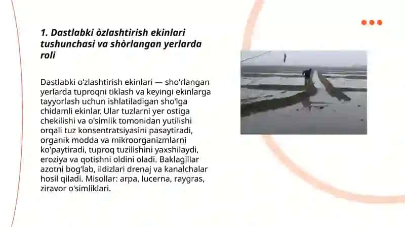 Shòrlangan yerlarda dastlabki òzlashtirish ekinlarini yetishtirish texnologiyasi 3