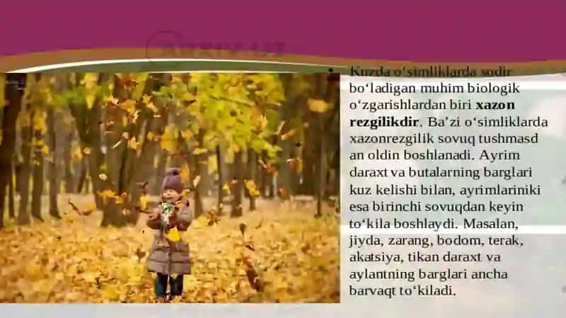 Kuz faslida o‘simliklar hayotida ro‘y beradigan o‘zgarishlar 3