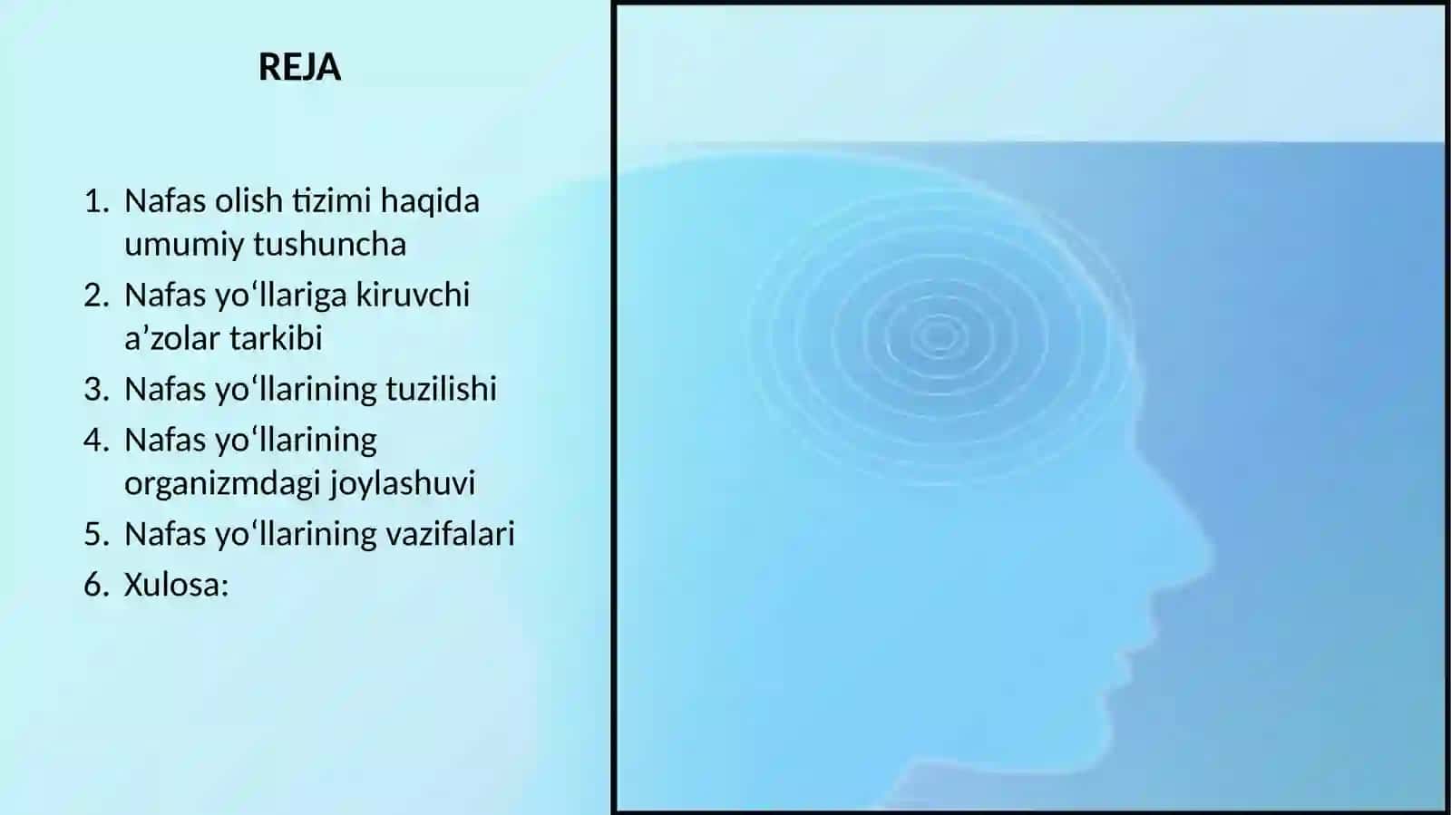 Nafas yo`llariga kiruvchi a`zolarni tuzilishi, joylashishi 3