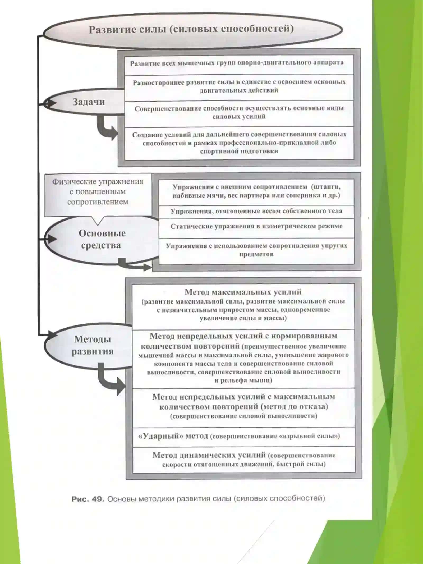 Лекция на тему: «ФИЗИЧЕСКИЕ КАЧЕСТВА» 3
