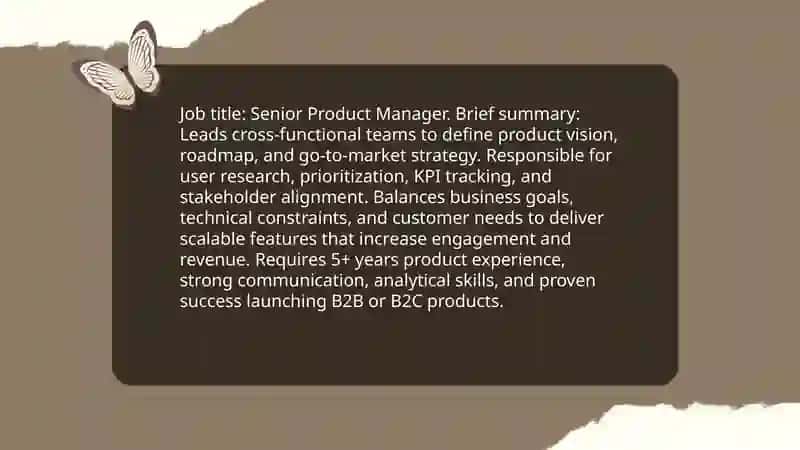 Senior Product Manager 3